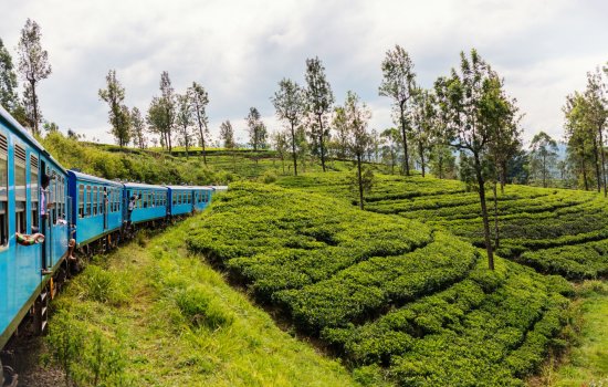 Sri Lanka