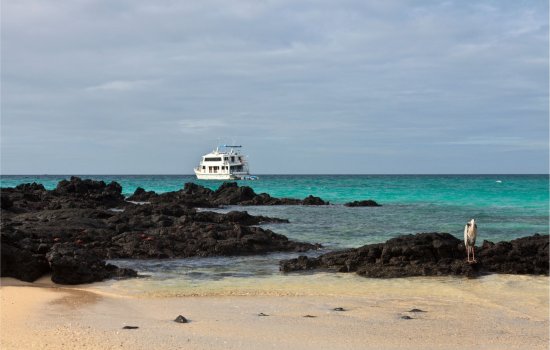 Galapagos Expedition Cruises