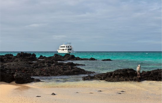 Galapagos Cruise Ships