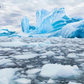 Antarctica Cruise
