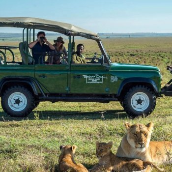 Best Safari Country