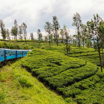 Sri Lanka Blue Train Holidays