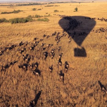 Kenya Balloon Safari