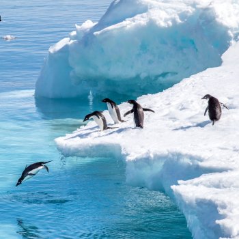 Antarctica Cruise