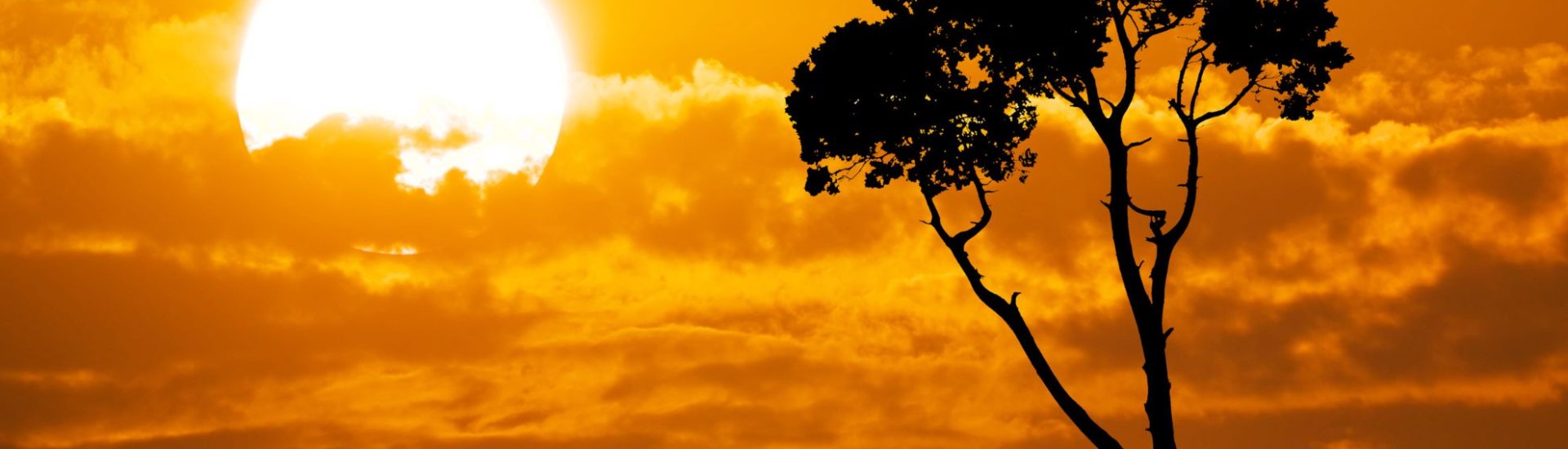 Holidays To Africa