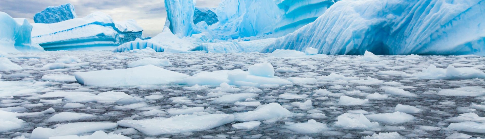 Antarctica Cruises