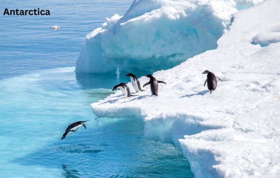 Antarctica Expedition Cruises