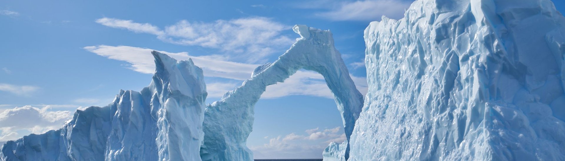 Polar Expedition Cruises