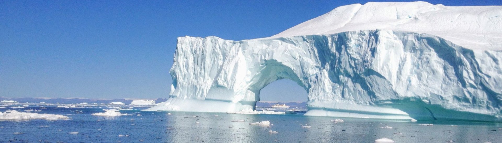 Arctic
