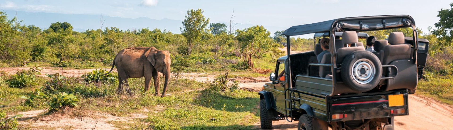 4x4 safari vehicle seeing an elephant