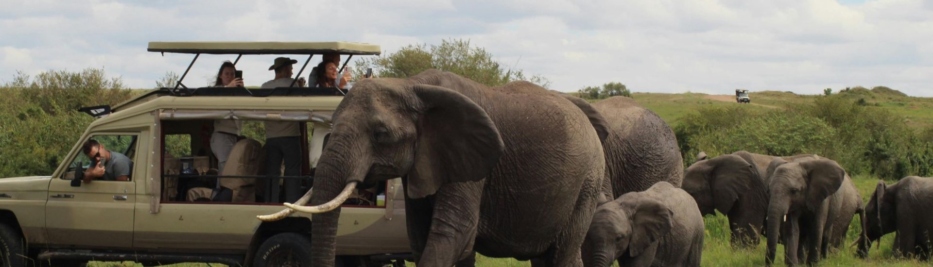 How much is a safari holiday for UK travellers