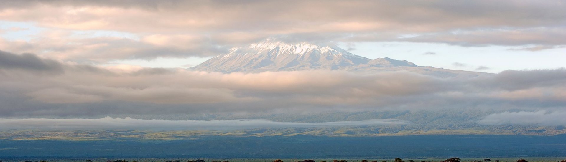 How much is an African safari