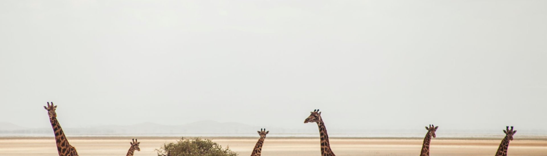 How much is a safari holiday in Africa