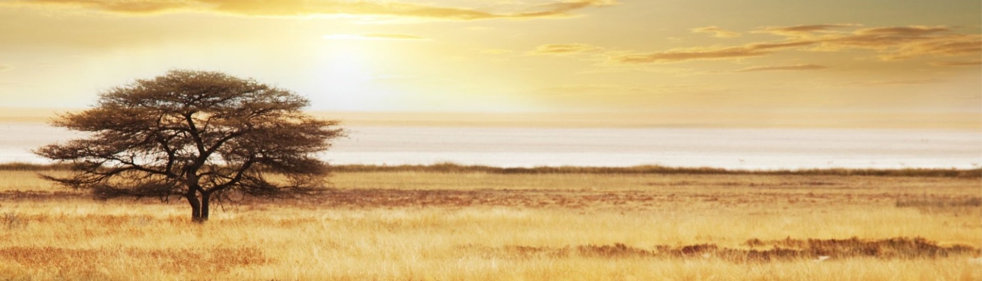 Safari Holiday Safety