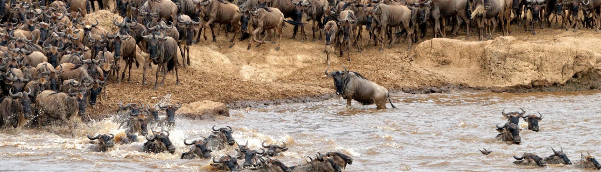 Great Migration