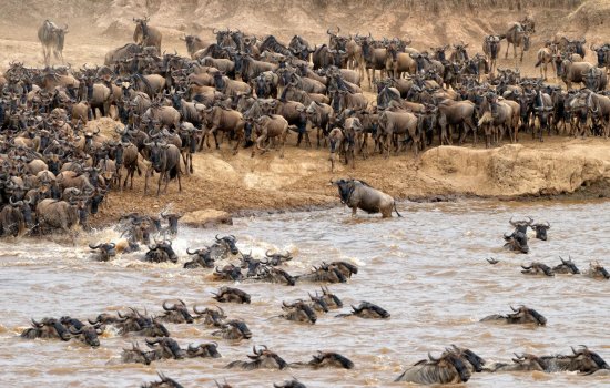 Great Migration
