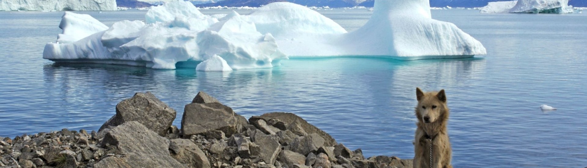 Greenland Expedition Cruise Specialists