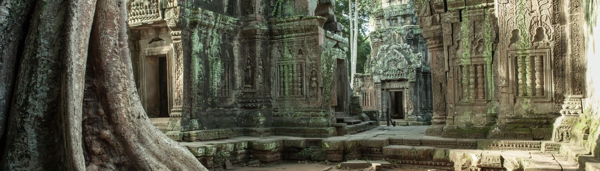 tree temple
