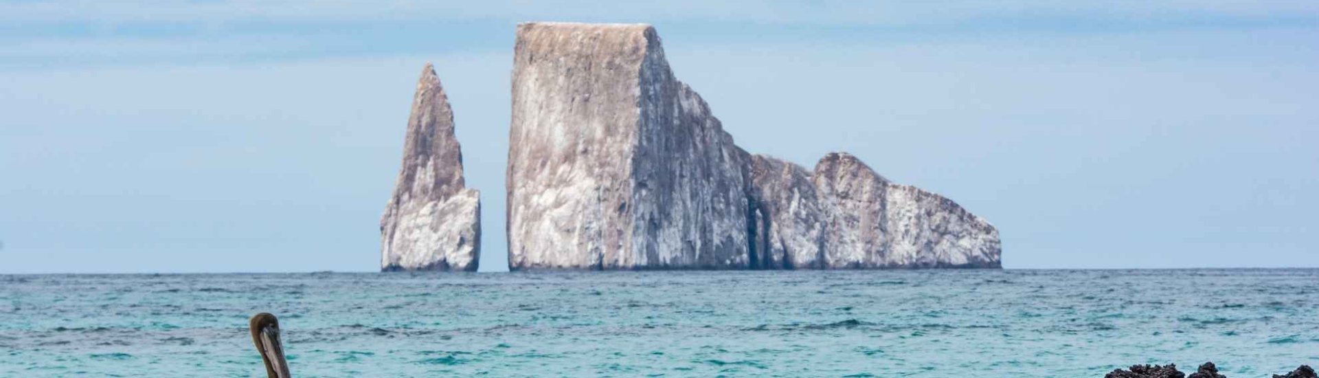 Galapagos Expeditions