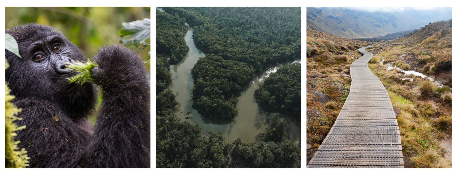 Adventure Holidays