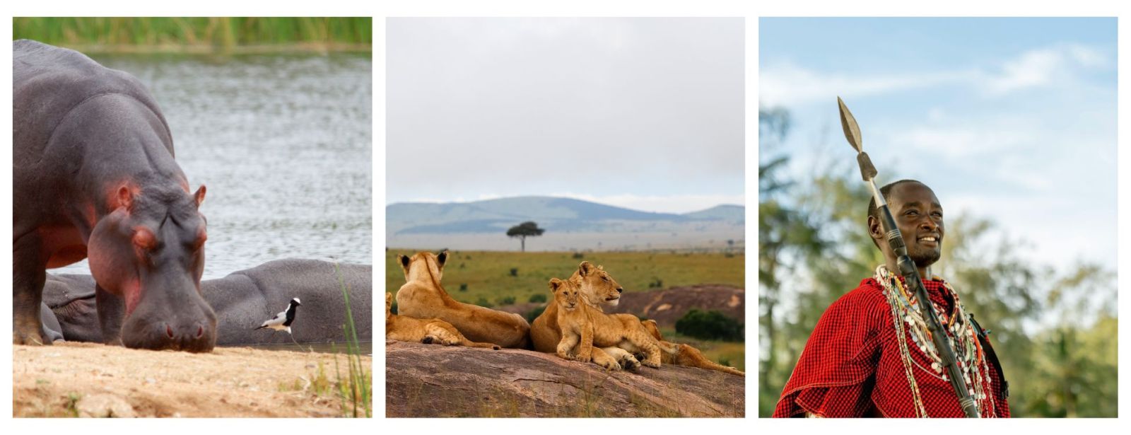 Africa Safari Holiday Price