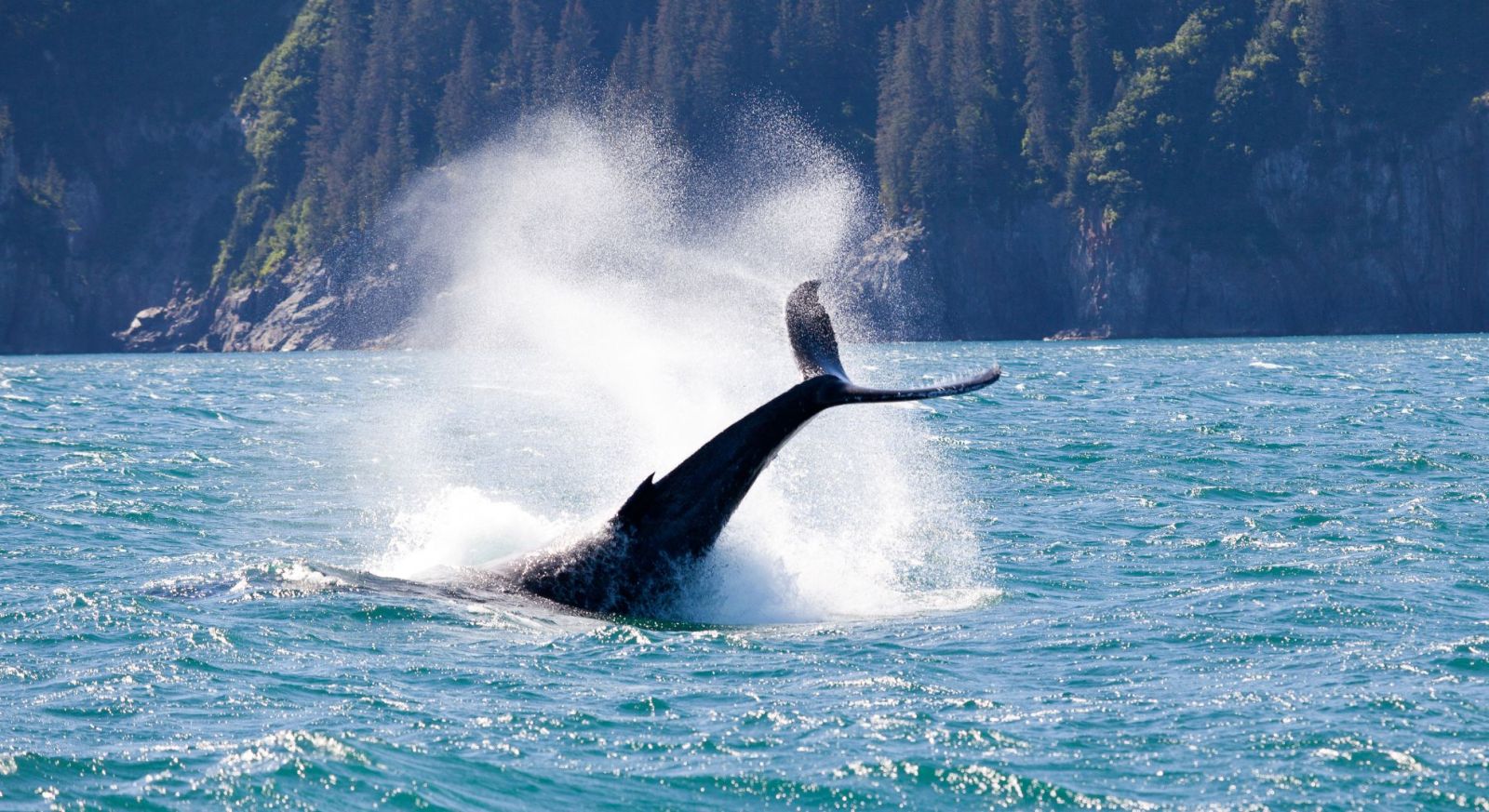 Alaska expedition cruise through remote wilderness