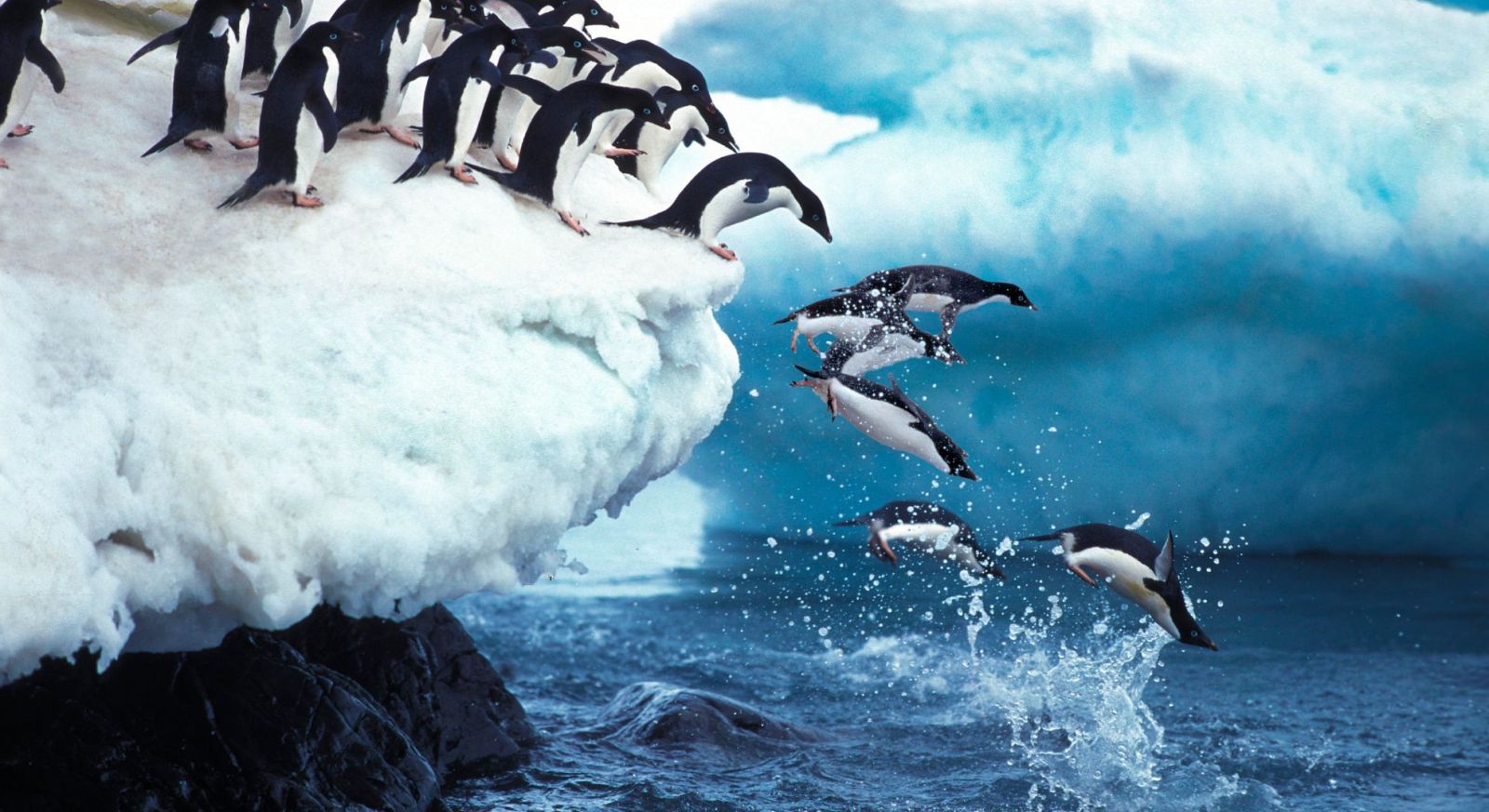 Antarctica What To Bring