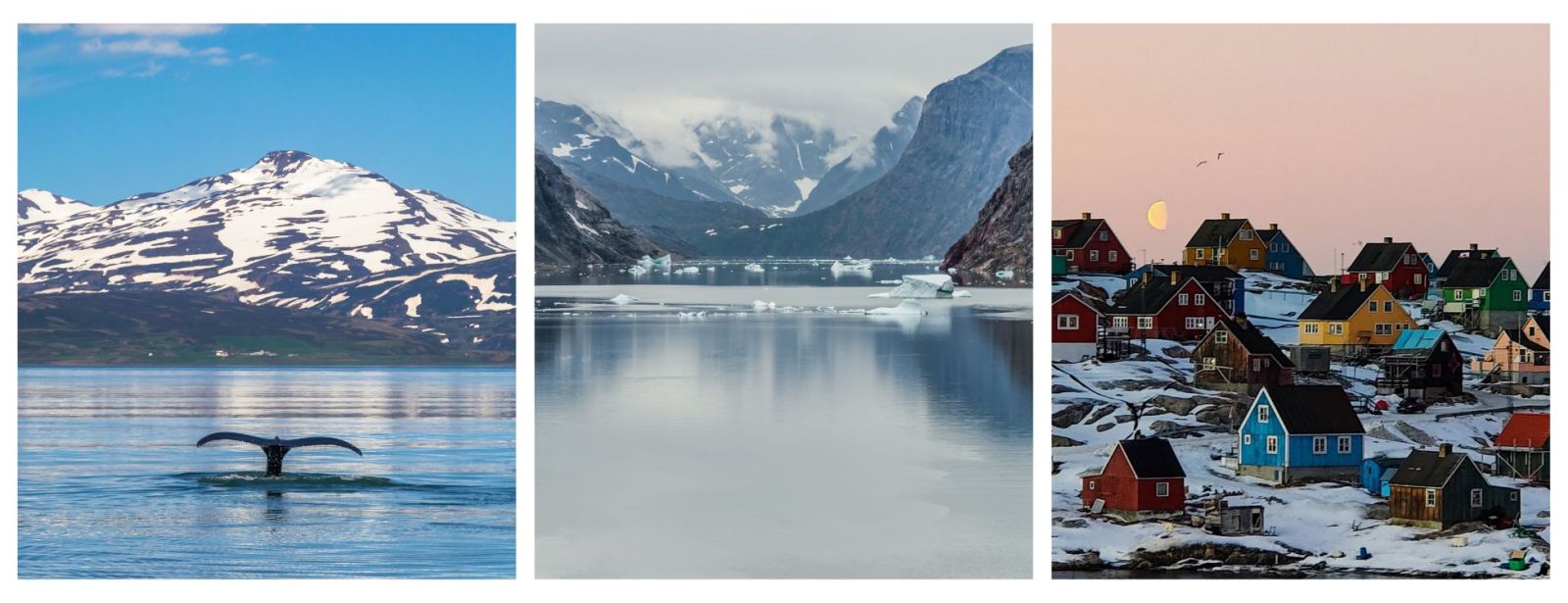 Arctic Expeditions