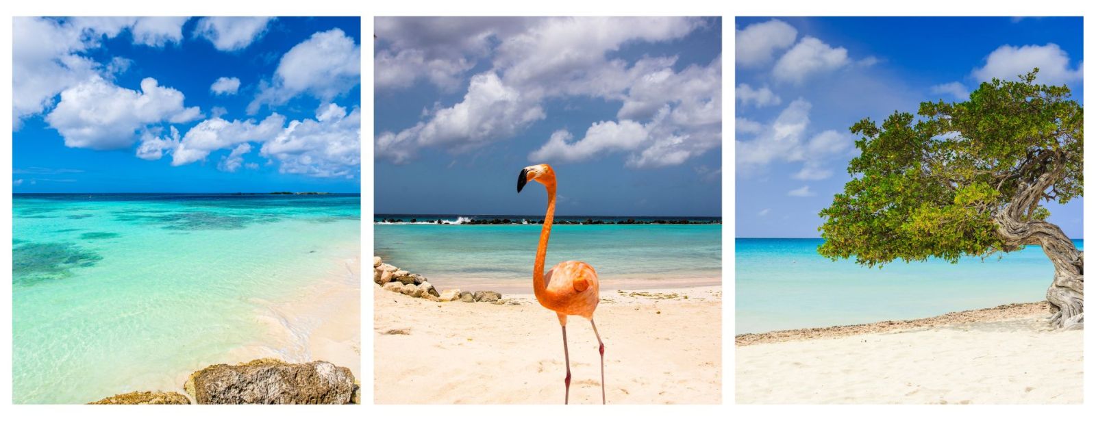 Aruba Honeymoons, Aruba Holidays, Aruba white sand beaches