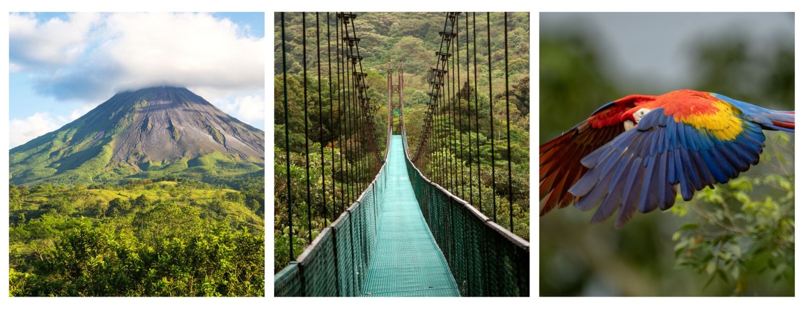 Costa Rica Soft Adventure Holiday