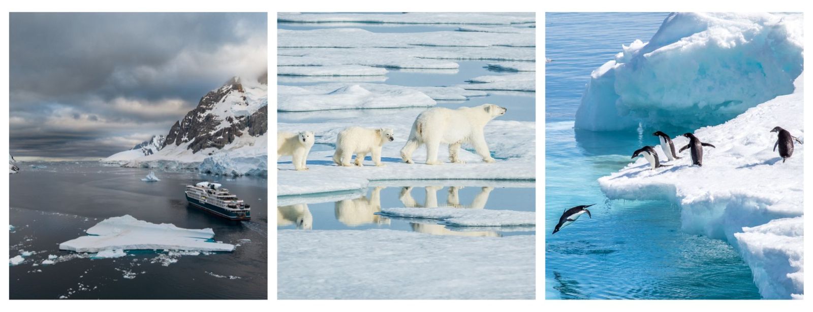 Expedition Cruises