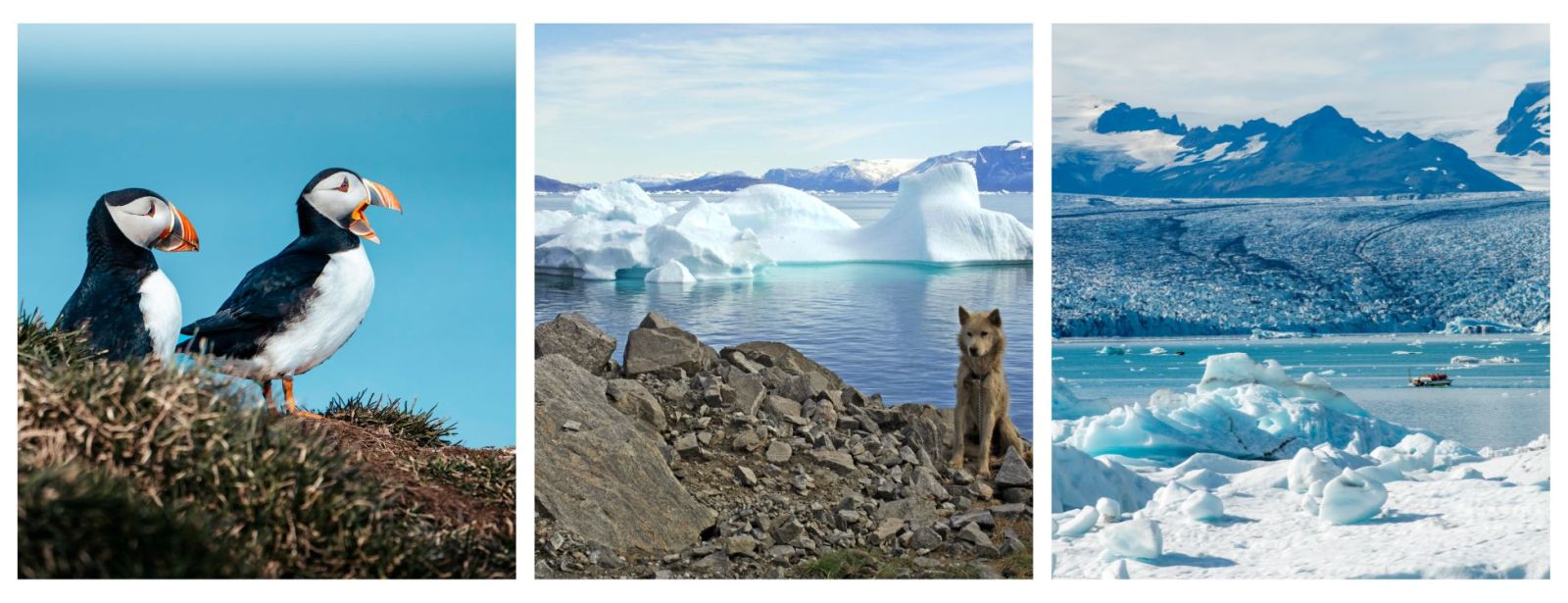 Arctic Expedition Cruises