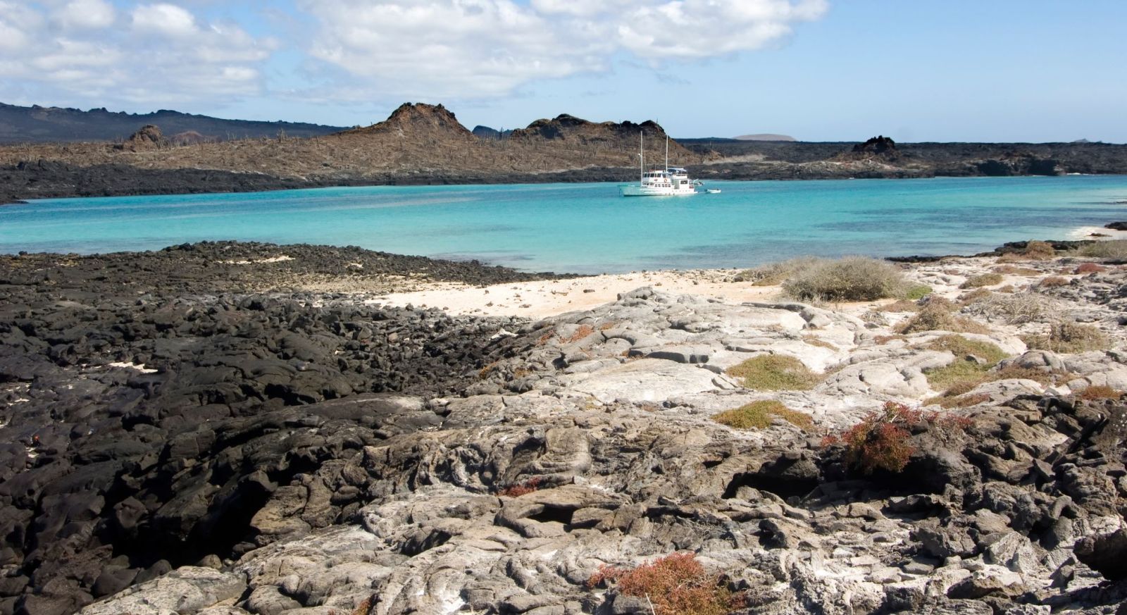 Galapagos Cruises. Liveaboard, yachts, expedition