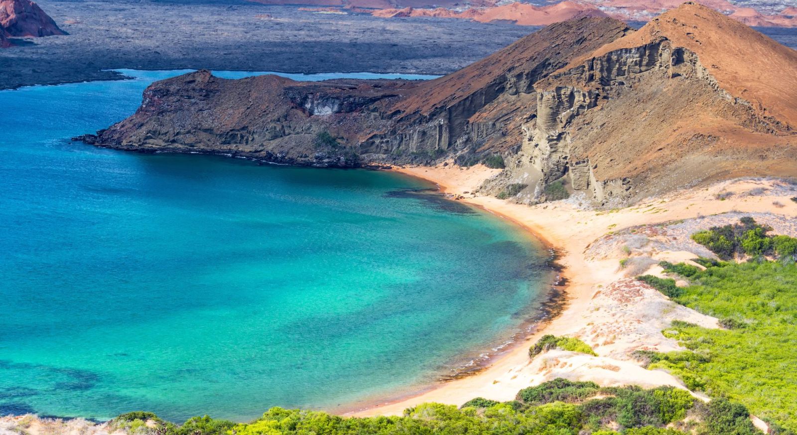 Galapagos Expedition Cruises