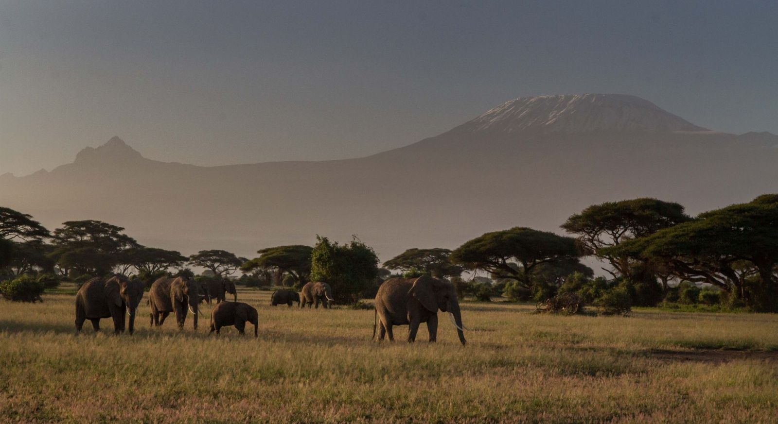 Cheaper Green Season Safari