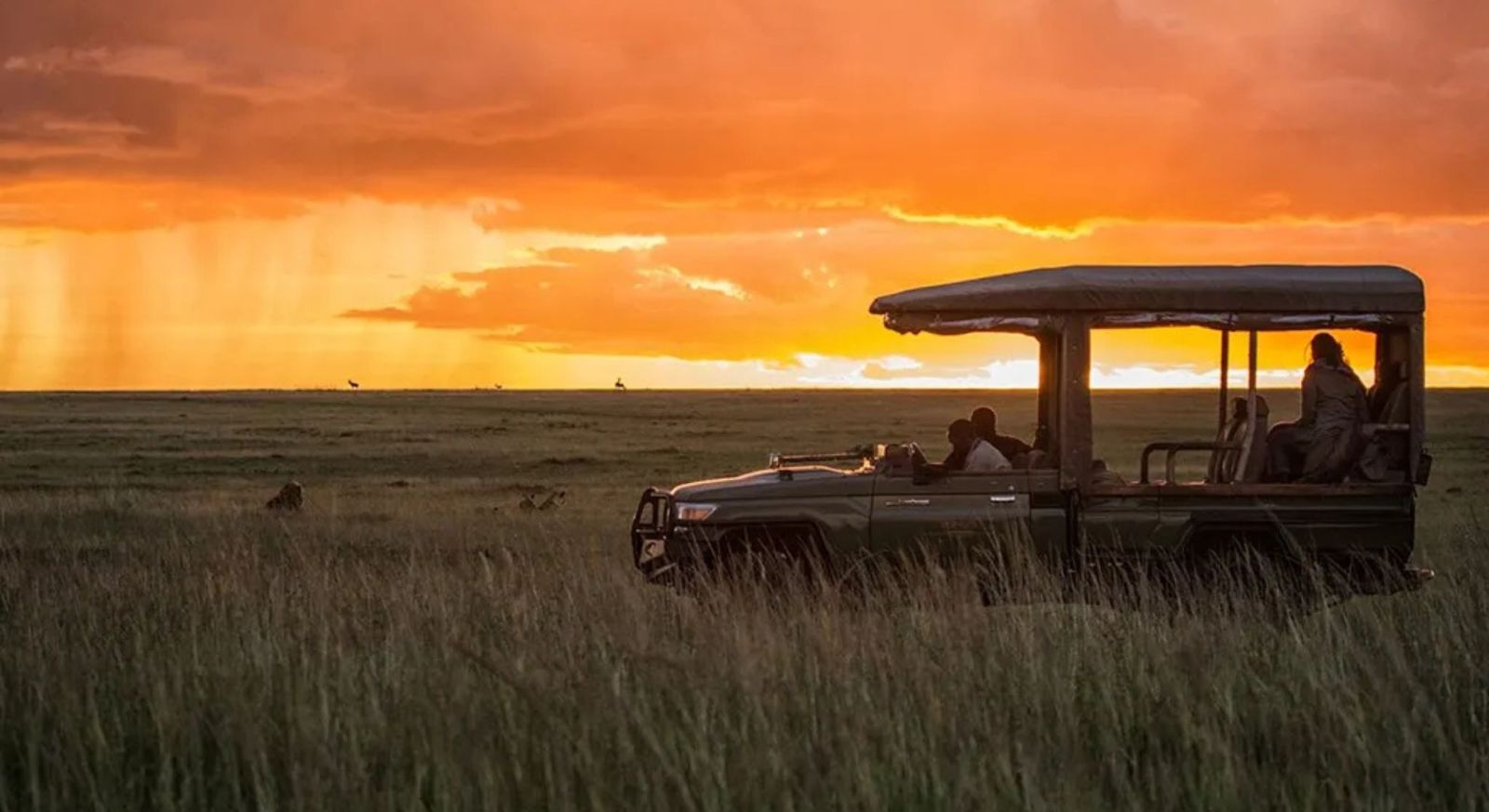 Is A Safari Safe