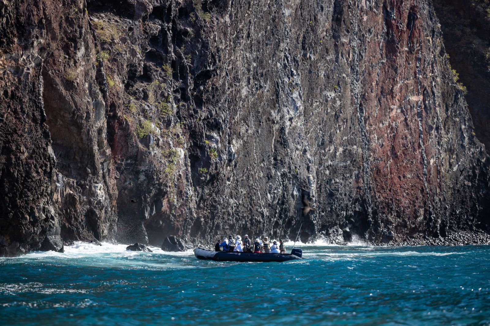 Exploring Isabela Island in the Galapagos by Zodiac