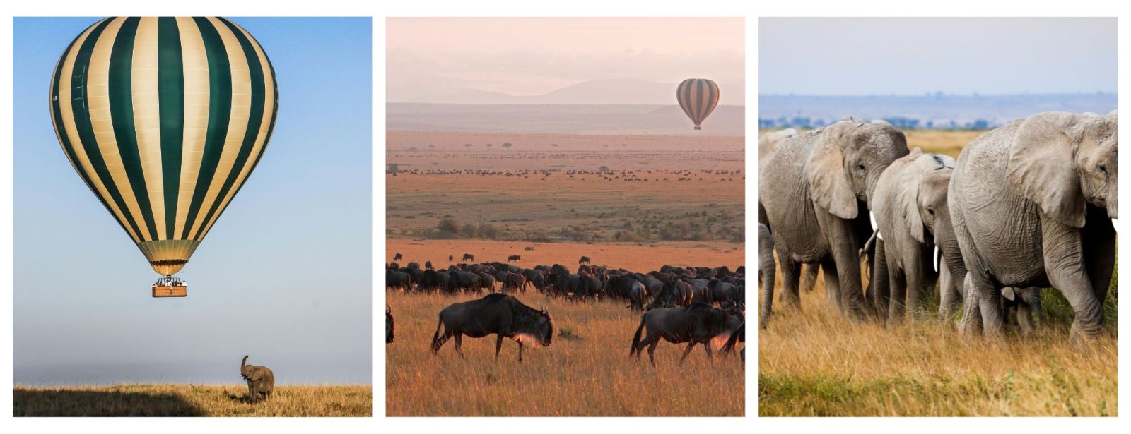 Masai Mara Safari, Masai Mara Hot Air Balloon