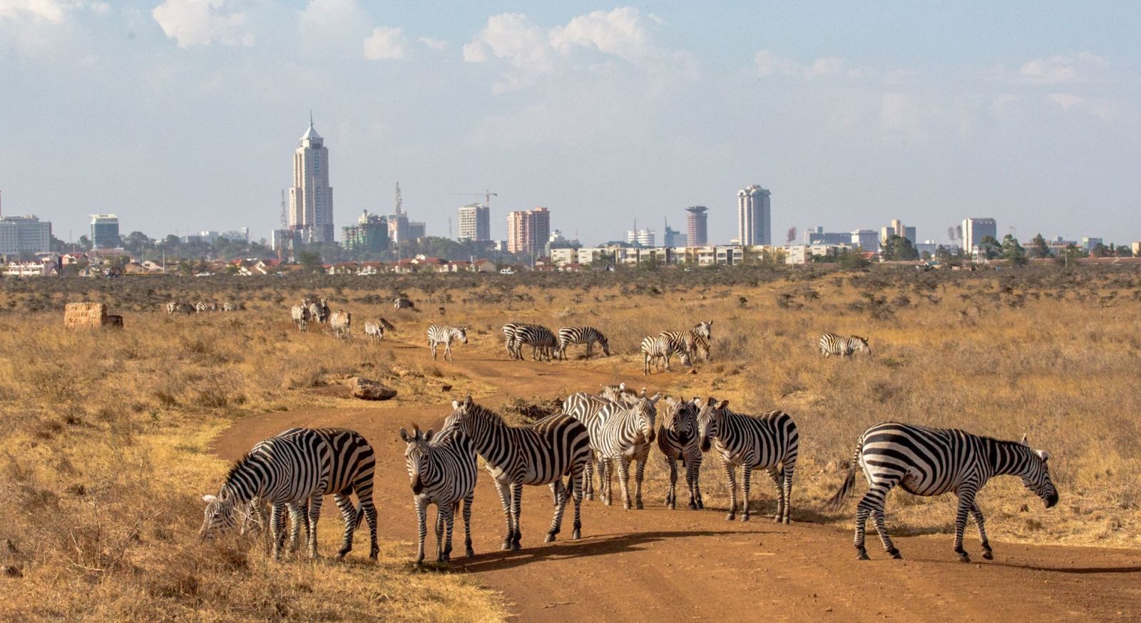 Nairobi National Parl