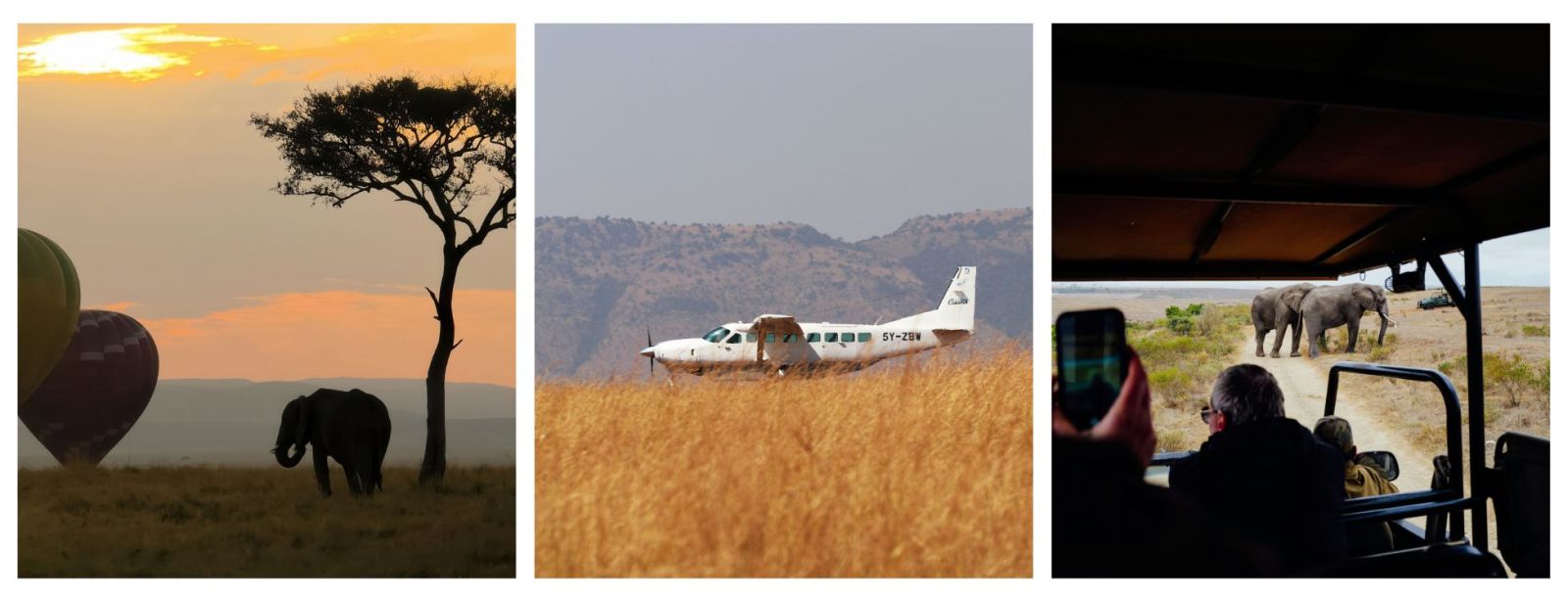 Cost of a safari holiday