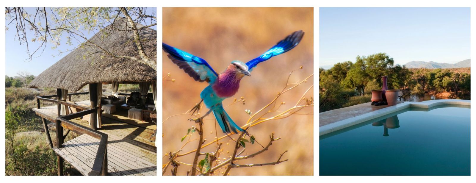 Cost of a Safari holiday for UK travellers