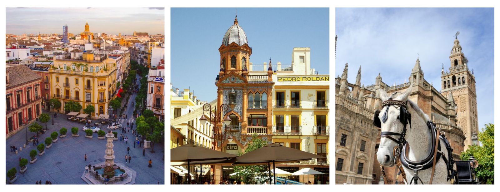 Seville Holidays. Historical City Centre