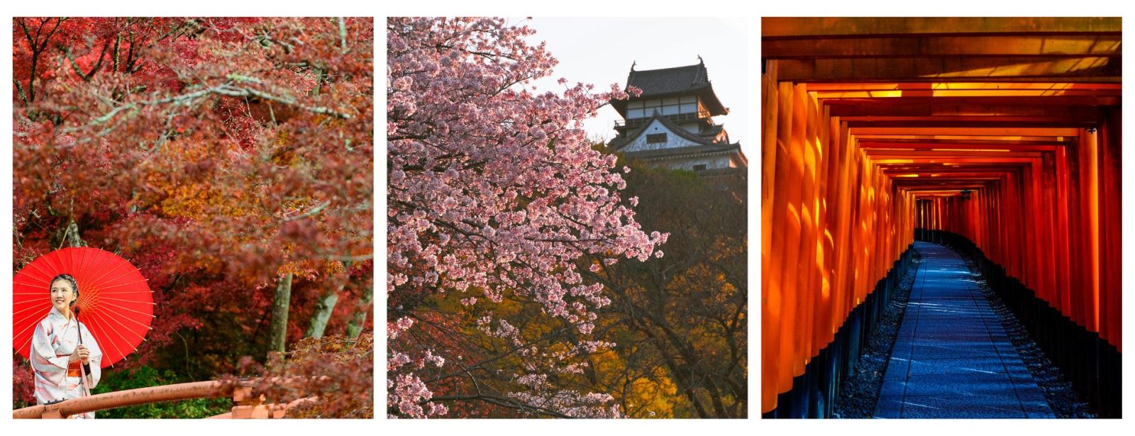 Japan Soft Adventure Holiday