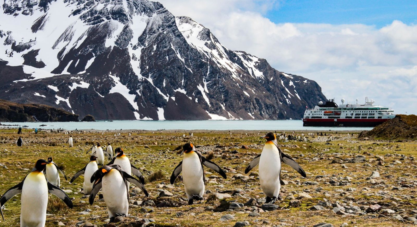 South Georgia expedition cruise