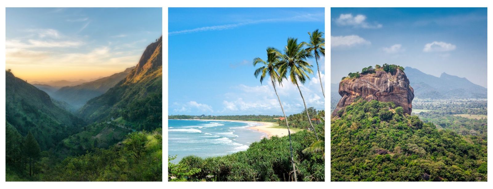 Sri Lanka Family & Multi-generational Holidays