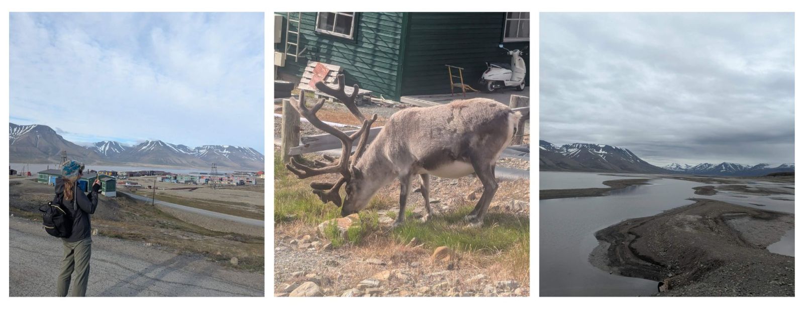 Svalbard Holidays. Arctic Travels