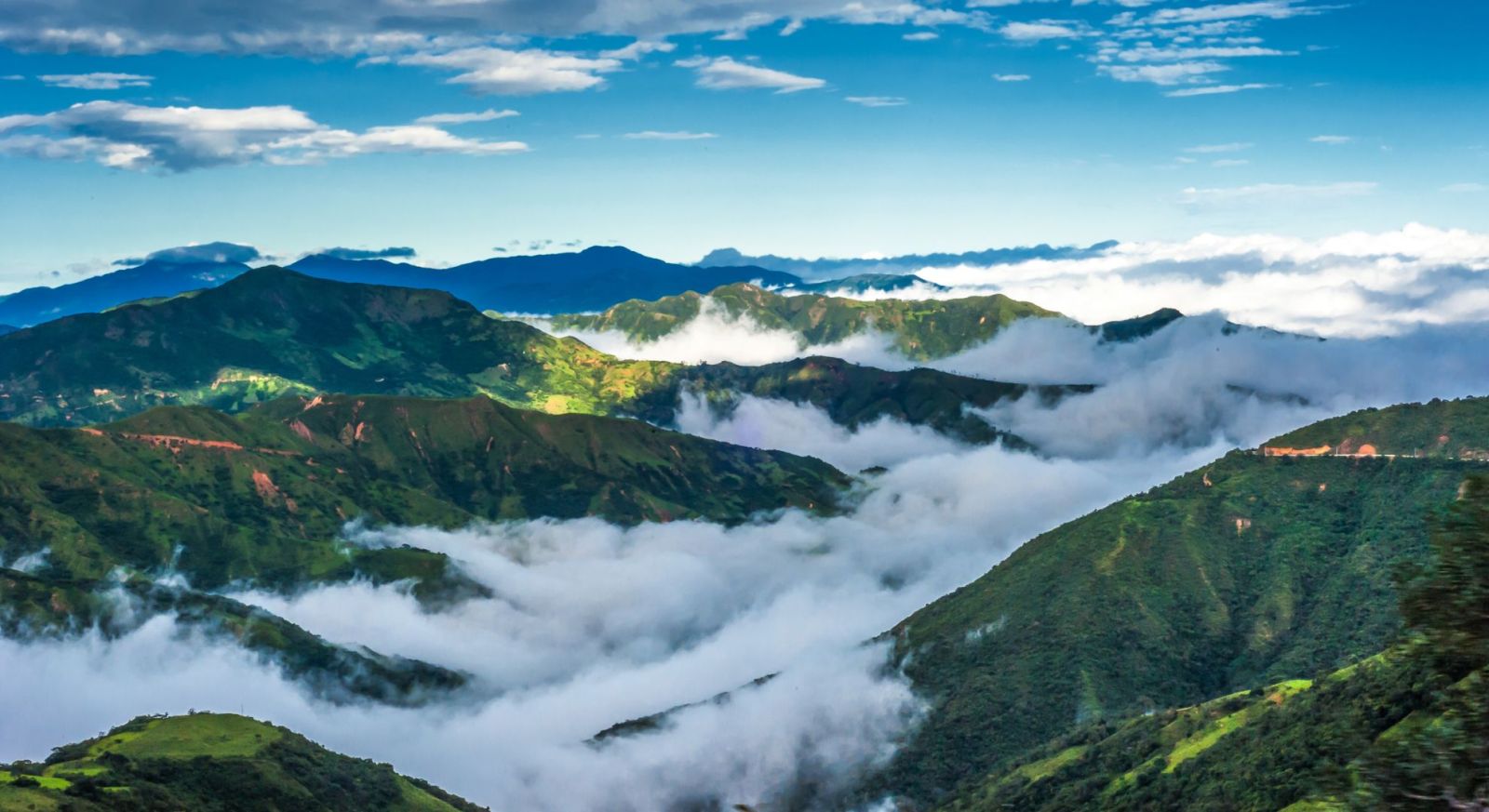 Ecuador Cloud Forest Holidays