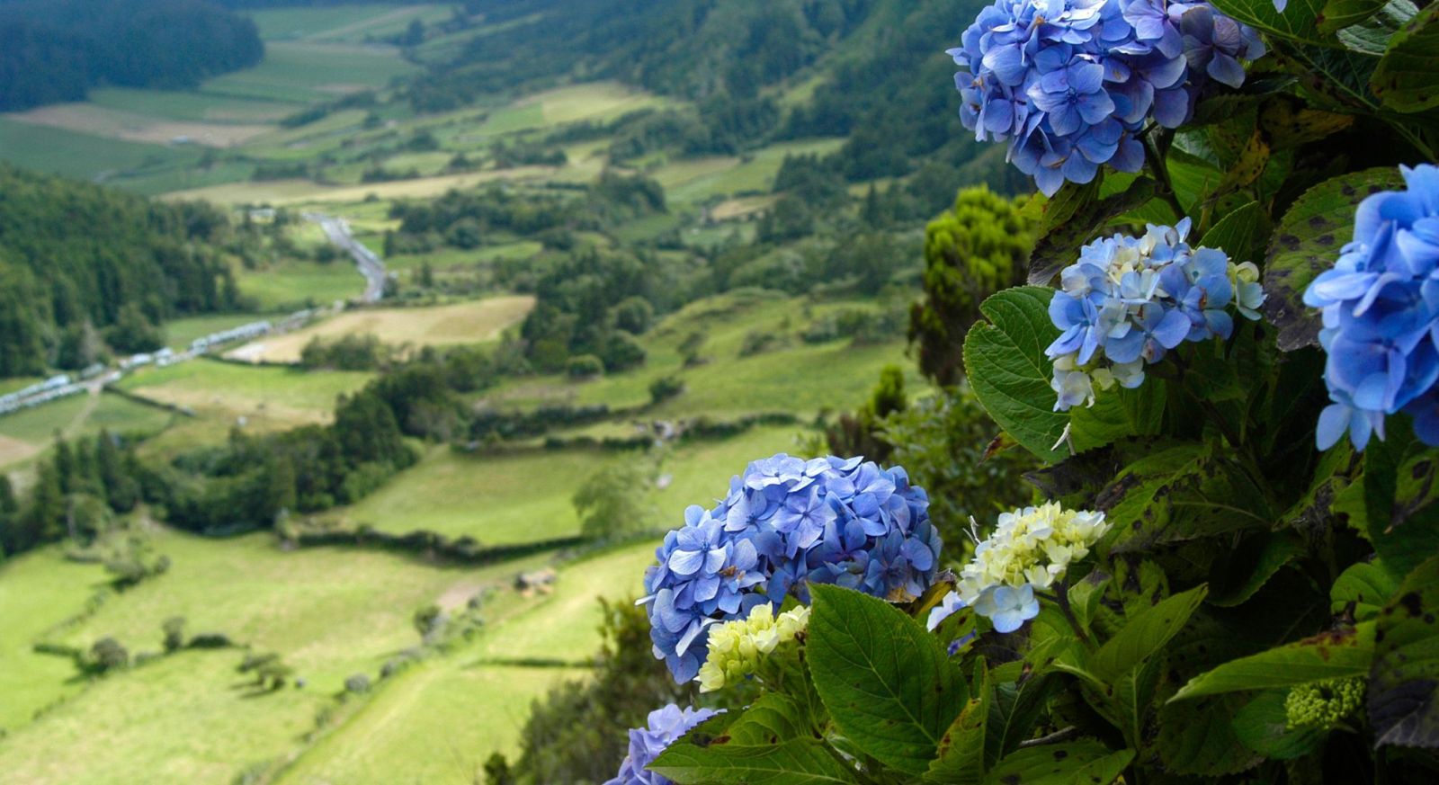 GRACIOSA Holidays. The Azores