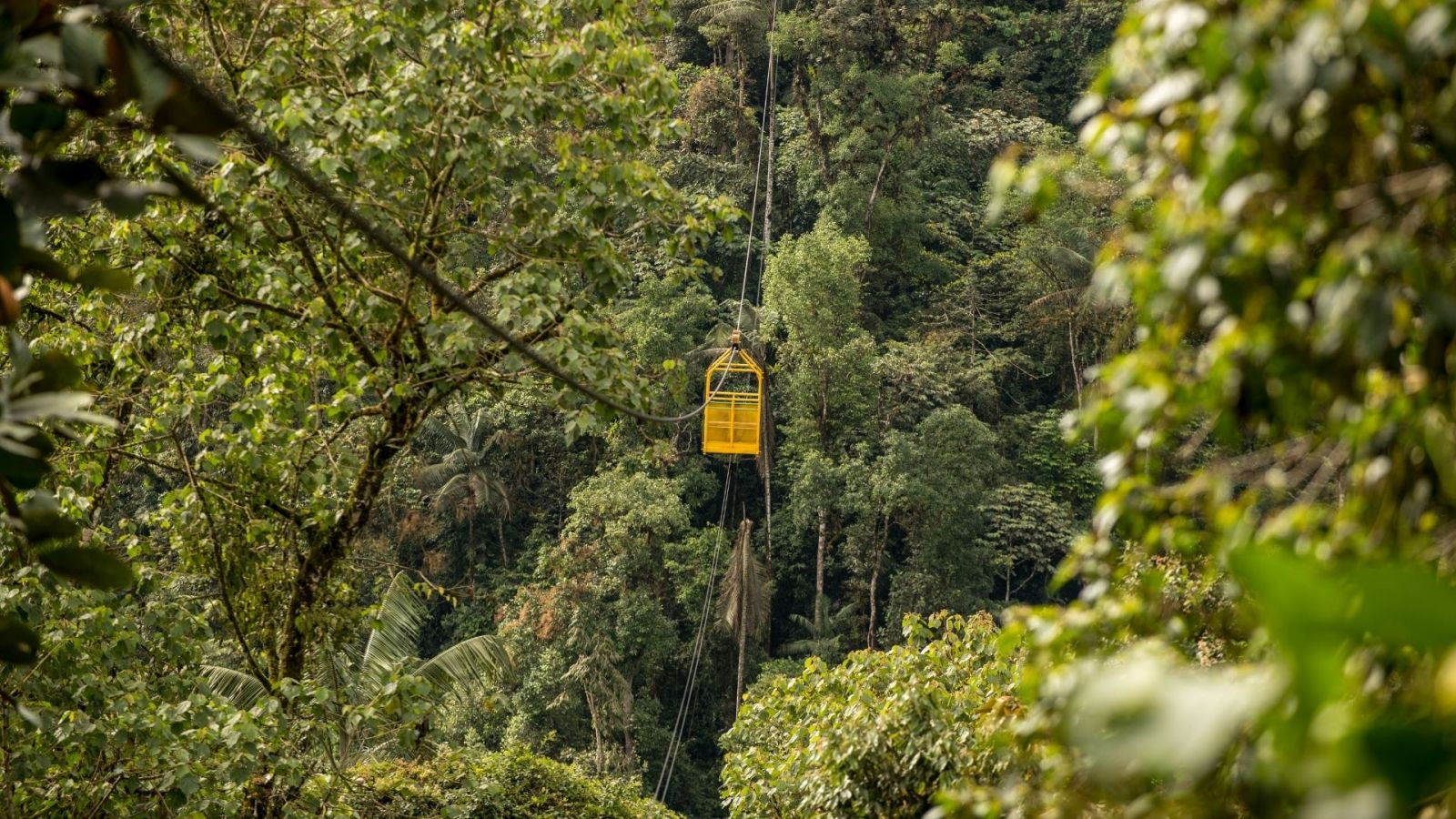 Cloud Forest Holidays. Cable Car Adventure