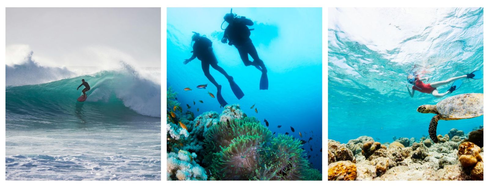 Water Activity Holidays. Diving, Snorkelling and surfing